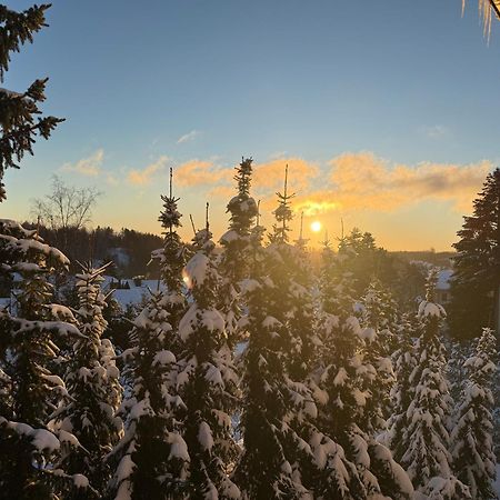 Appartamento Harzer Traum - Renoviert, Inklusive Waesche Und Wlan Braunlage Esterno foto