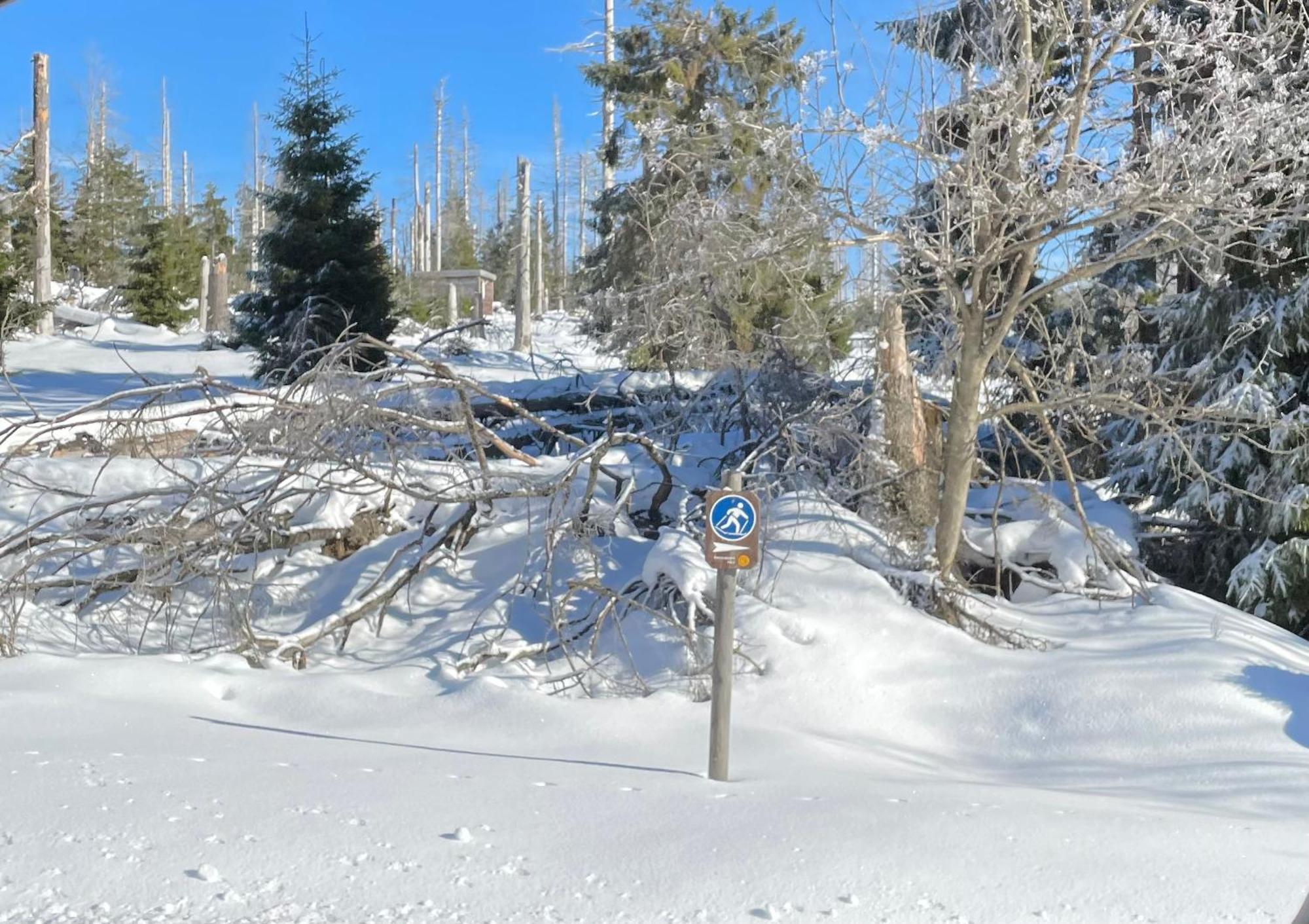 Appartamento Harzer Traum - Renoviert, Inklusive Waesche Und Wlan Braunlage Esterno foto