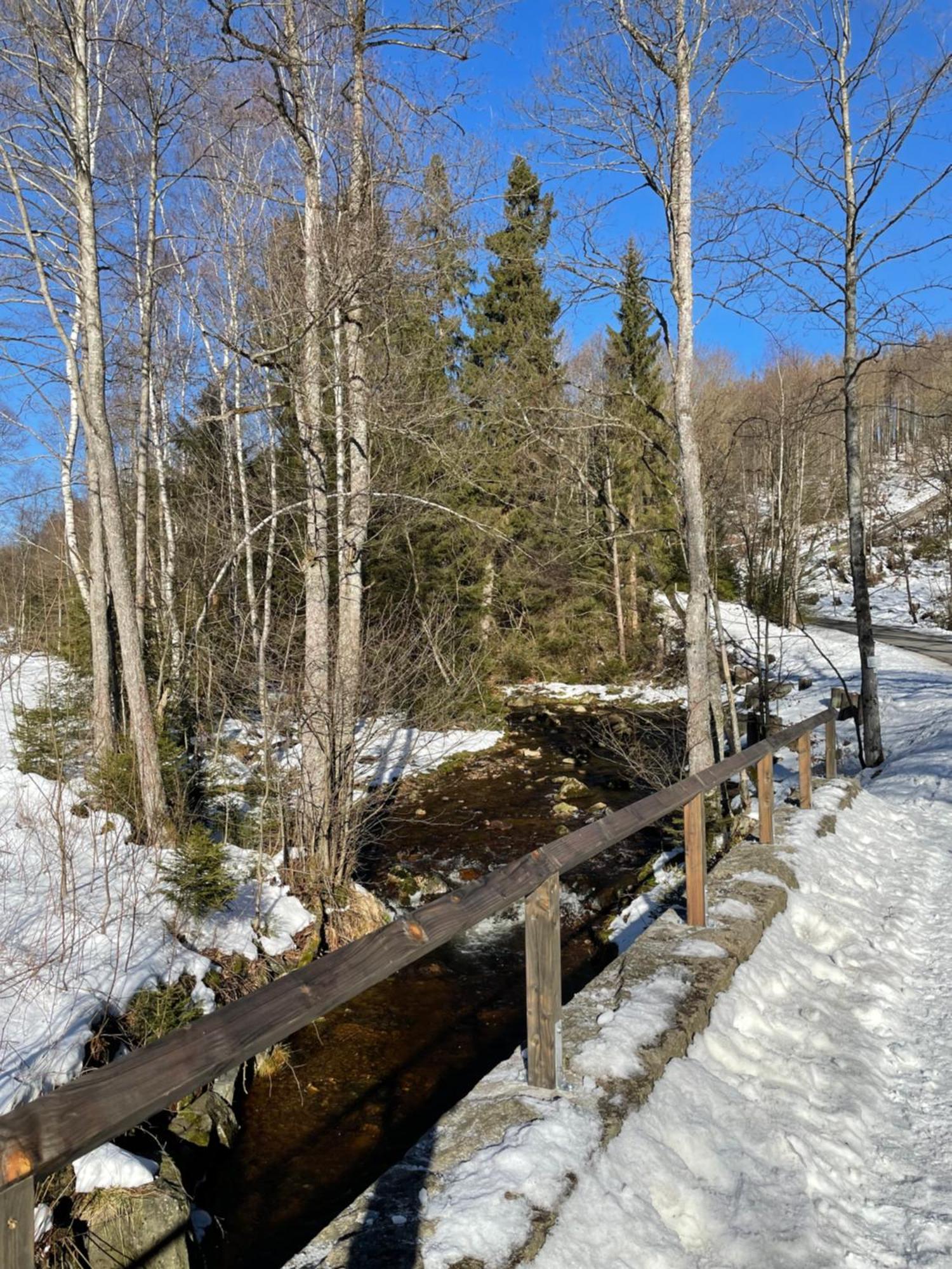 Appartamento Harzer Traum - Renoviert, Inklusive Waesche Und Wlan Braunlage Esterno foto